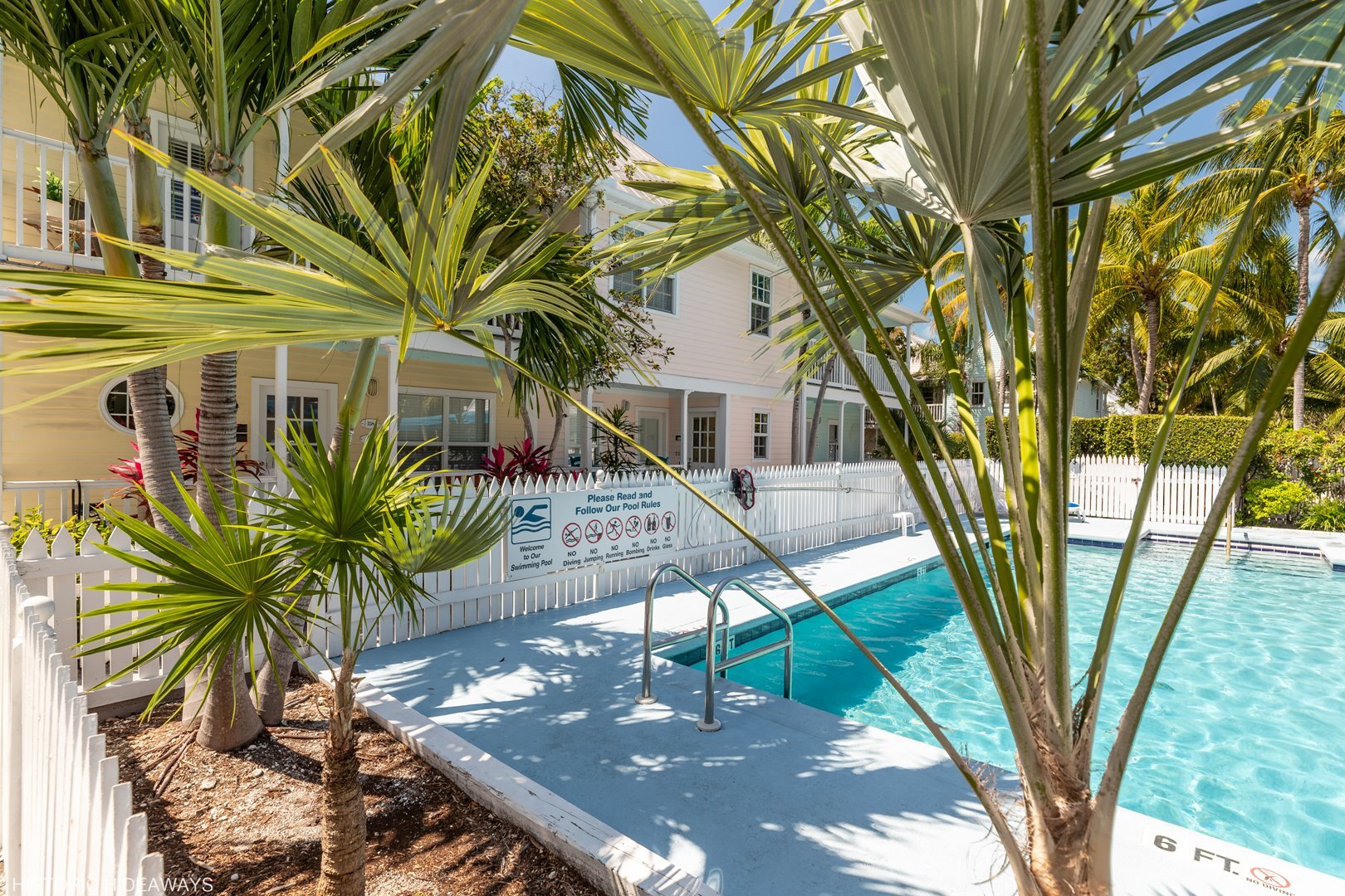 Poolside Palms